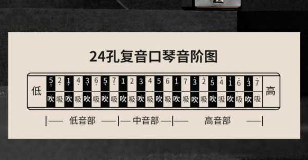  24孔重音口琴如何清洗「重音口琴24孔和28孔的区别」-第1张图片-乐清光明电器科技有限公司