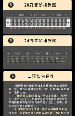  24孔重音口琴如何清洗「重音口琴24孔和28孔的区别」-第3张图片-乐清光明电器科技有限公司