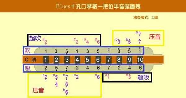 十孔口琴孔位图-第1张图片-乐清光明电器科技有限公司