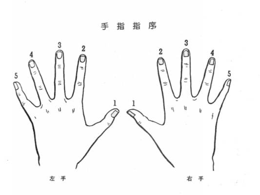 左手和右手如何弹电子琴_左手右手怎么弹电子琴-第3张图片-乐清光明电器科技有限公司