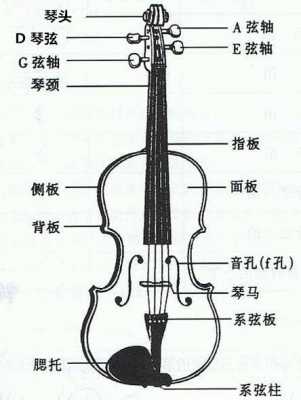 小提琴如何组成-第3张图片-乐清光明电器科技有限公司