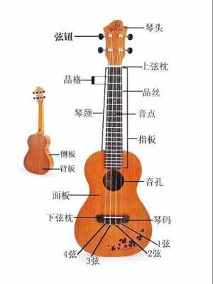 ukulele琴弦 ukulele如何固定琴颈-第2张图片-乐清光明电器科技有限公司