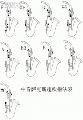 萨克斯吹奏如何跟配伴奏_萨克斯伴奏技巧-第2张图片-乐清光明电器科技有限公司