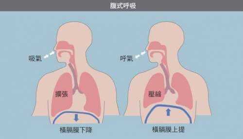 如何用横膈膜控制气息 横隔膜如何控制气息-第3张图片-乐清光明电器科技有限公司