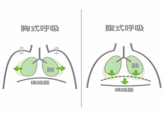 如何用横膈膜控制气息 横隔膜如何控制气息-第2张图片-乐清光明电器科技有限公司