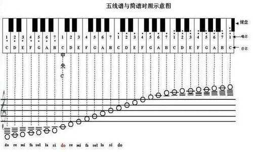 五线谱指法怎么看 五线谱如何标指法-第2张图片-乐清光明电器科技有限公司