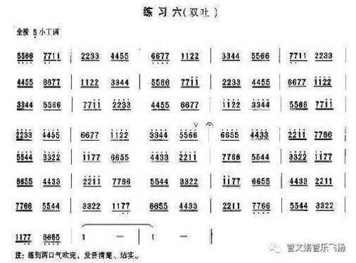 笛子双吐音学不会 如何学好笛子双吐-第2张图片-乐清光明电器科技有限公司