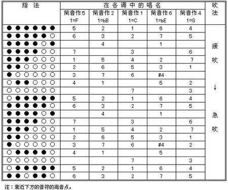  贝大d调笛子如何定调「倍低音大d笛子」-第3张图片-乐清光明电器科技有限公司