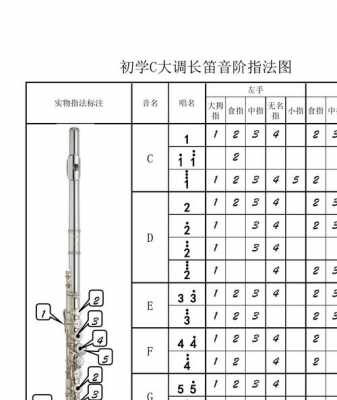 长笛如何演奏中音区_长笛中音区指法-第3张图片-乐清光明电器科技有限公司