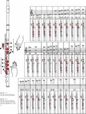 长笛如何演奏中音区_长笛中音区指法-第2张图片-乐清光明电器科技有限公司