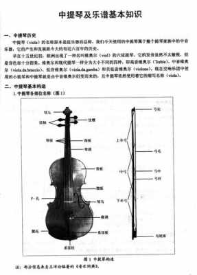 中提琴新手入门指法-中提琴如何拉-第1张图片-乐清光明电器科技有限公司