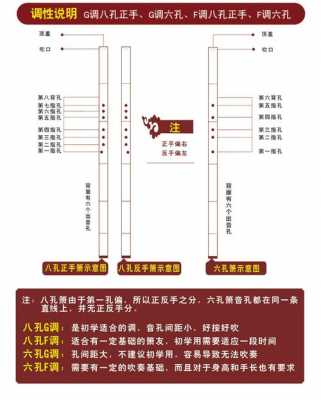 洞箫如何区分6孔8孔有图_洞箫是六孔好还是八孔好-第3张图片-乐清光明电器科技有限公司