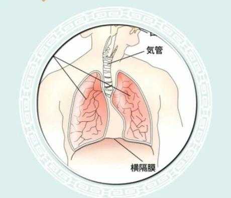 长笛如何呼吸-第2张图片-乐清光明电器科技有限公司