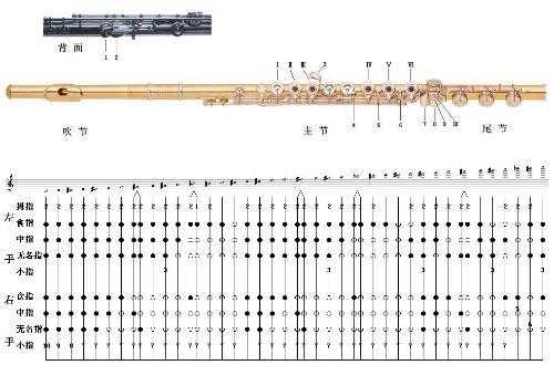 c调长笛笛头音色如何算正常,长笛c调音阶 -第3张图片-乐清光明电器科技有限公司