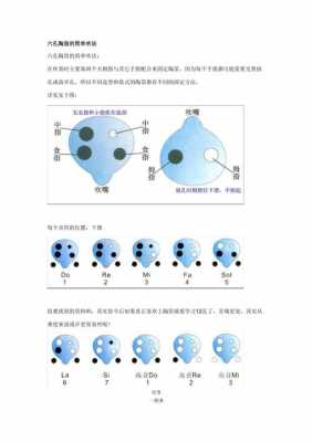 六孔陶笛吹气方法 六孔陶笛如何吹不同调-第3张图片-乐清光明电器科技有限公司