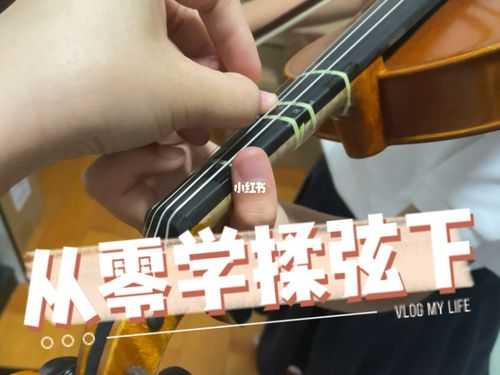 拉小提琴如何揉音（小提琴怎么才能快速练出揉弦）-第2张图片-乐清光明电器科技有限公司