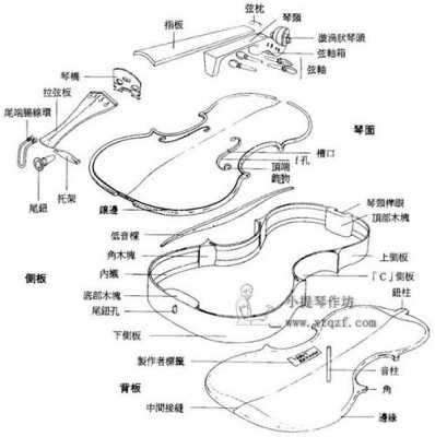 小提琴装饰音如何训练（小提琴装配图）-第3张图片-乐清光明电器科技有限公司