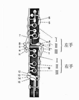 降e调和单簧管降b调如何转换（单簧管降b转e调指法）-第3张图片-乐清光明电器科技有限公司