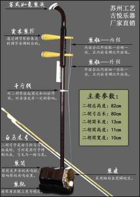 初学如何选购二胡-第2张图片-乐清光明电器科技有限公司