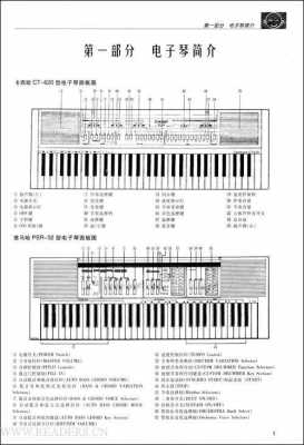  如何快速学电子琴「如何快速学电子琴入门」-第2张图片-乐清光明电器科技有限公司